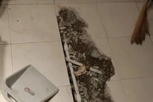 扎赉诺尔卫生间漏水检测电话